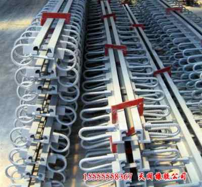 重慶誠信合作 探索攝影燈泡與光波網(wǎng)的技術(shù)交流新篇章