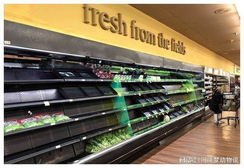 英倫抗疫奇觀 中國(guó)制造醫(yī)療物資“秒光”背后的供應(yīng)鏈啟示