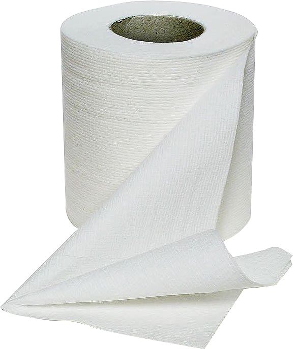 衛(wèi)生紙 日常生活中的衛(wèi)生用品